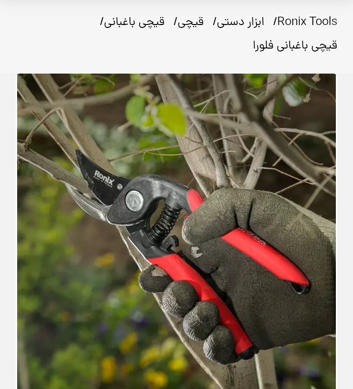 قیچی فلورا تایوان رونیکس مدلRH3105